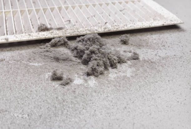 Best Best Air Duct Cleaning Near Me  in Mino, CA